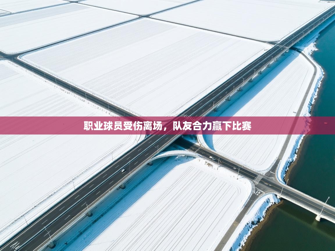 职业球员受伤离场，队友合力赢下比赛