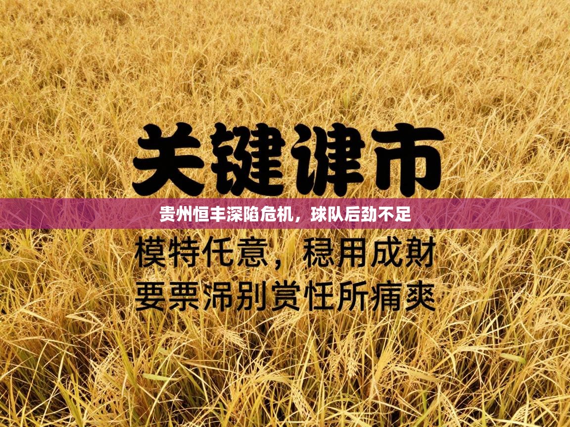 贵州恒丰深陷危机，球队后劲不足